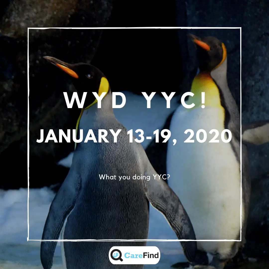 WYD YYC January